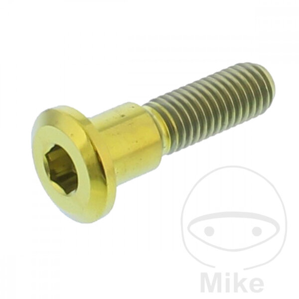 Vite M8x1,25x33 per Suzuki 125 250 400 500 600 650 750 800 1000 1100 1200 1300 1400 1500