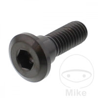 Schraube M8x1,25x24 f&uuml;r Honda 110 125 150 250 300...