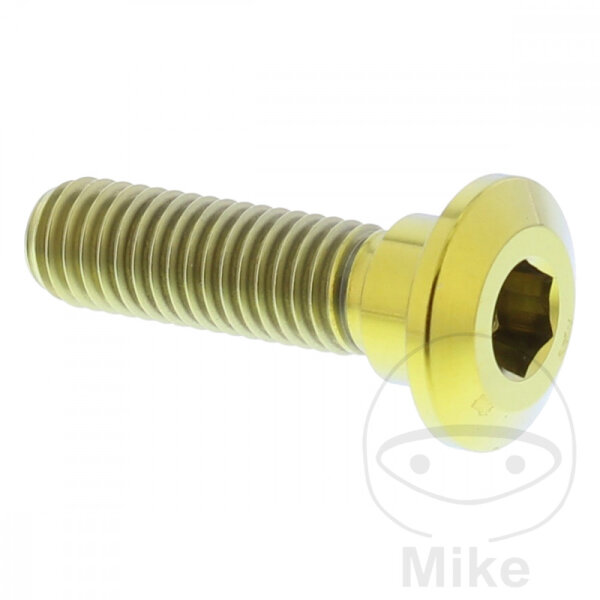 Tornillo M8x1,25x30 para Kawasaki 50 80 125 250 300 305 400 440 450 500 550 600 636 650 700 750 800 900 1000 1100 1200 1400 1500 1600 1700 2000