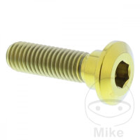 Schraube M8x1,25x30 f&uuml;r Kawasaki 50 80 125 250 300...