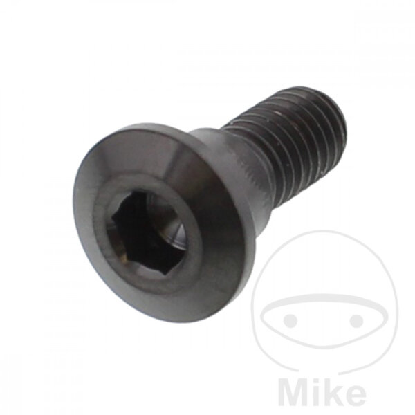 Tornillo M8x1,25x22 para Suzuki 125 150 200 250 400 450 500 600 650 700 750 800 1000 1200 1250 1300 1500 1800