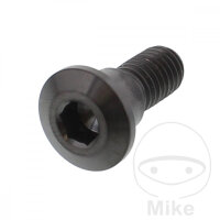 Schraube M8x1,25x22 f&uuml;r Suzuki 125 150 200 250 400...