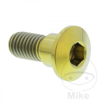 Schraube M8x1,25x22 f&uuml;r Suzuki 125 150 200 250 400...