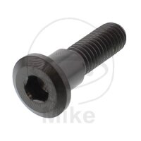 Schraube M8x1,25x30 f&uuml;r Triumph 600 650 660 675 750...
