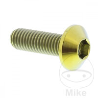 Schraube M8x1,25x25 f&uuml;r Yamaha 250 400 500 530 600...
