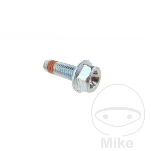 Brake caliper screw for Honda CB 1000 R RA CBR 900 RR VT 125 C