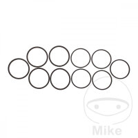 Dichtungssatz Bremssattelkolben f&uuml;r Kawasaki 250 252...