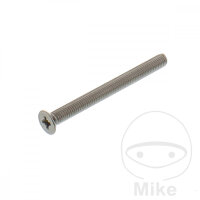 Vite a testa svasata M5 x 0,8 x 55 mm Unit&agrave;...