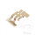 Spring Sliding pin for Honda Suzuki Yamaha