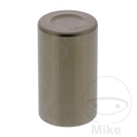 Piston d&eacute;trier de frein pour Honda GL 1800 ST 1100...