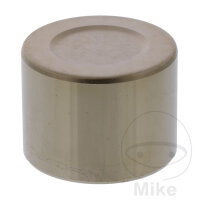 Brake caliper Piston set for Honda CB 1000 CBR 900 RVF...