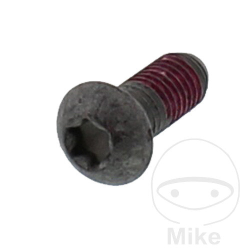 Tornillo M8x1,25x20 para BMW C1 125 200 R 850 1100 1150 1200