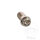Banjo bolt single M10x1,25 Titan Racing for Ducati Honda Kawasaki Suzuki Triumph Yamaha