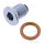 Oil drain plug M14X1.50 for Triumph Adventurer America Bonneville