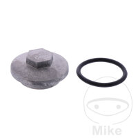 Tap&oacute;n de drenaje de aceite M30x1.5 para Rex RS 500...