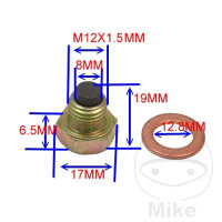 Tap&oacute;n de drenaje de aceite M12X1.50 para BMW C1...