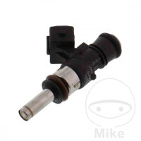 Accesorios inyectores para BMW C 600 650 HP4 1000 K 1200...
