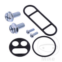 Kit de reparaci&oacute;n de grifo de combustible para...