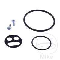 Kit de reparaci&oacute;n de grifo de combustible para...