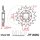 Pignone 14 Denti Divisione 520 per Honda CR 250 500 R CRF 450 R X TRX 450
