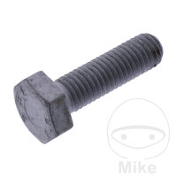 Original Schraube f&uuml;r Ritzel f&uuml;r BMW F 650 700...