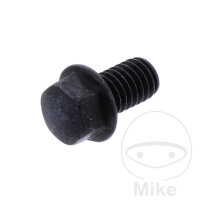 Original Schraube f&uuml;r Ritzel f&uuml;r Yamaha WR XT...