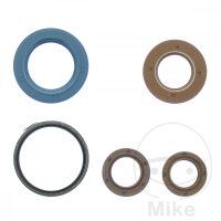 Engine gasket set for Gilera Stalker Piaggio Free Zip 25...