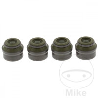 Tenuta stelo valvola per BMW G 450 X # 2008-2011