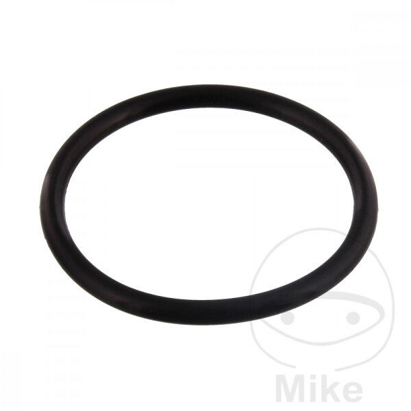Sello del tensor de la cadena de distribuci&oacute;n Triumph Thunderbird 1600 # 09-18