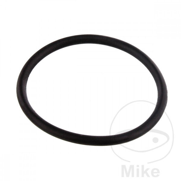 Joint du tendeur de cha&icirc;ne de distribution Triumph Thunderbird 1600 1700 # 09-18