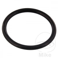Timing chain tensioner seal Triumph Bonneville 900 1200...