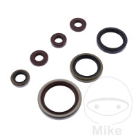Juego de retenes ATH para Sherco SE 250 300 R # 2014-2017