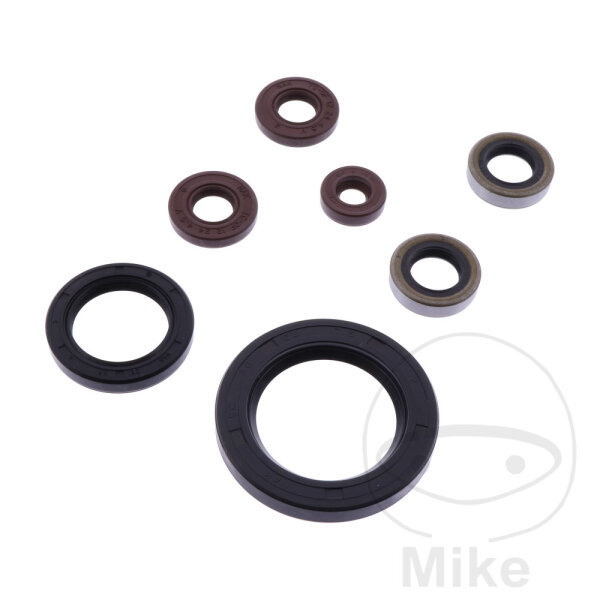 Set di paraoli ATH per Sherco SE SEF 250 300