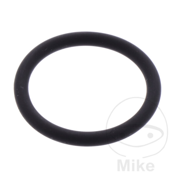 Starter seal for Aprilia Scarabeo SR Gilera Runner 100 125 180