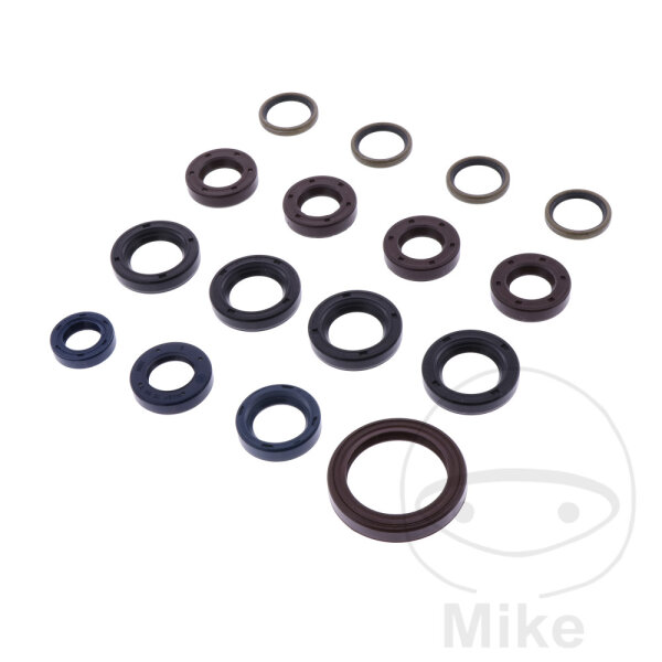 Set di paraoli ATH per Ducati Monster 916 S4 ST4 916 Sporttouring