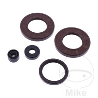 Engine gasket set for Husqvarna SMR 570 630 TC 610 TE 350...