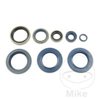 Dichtungssatz Motor f&uuml;r KTM Adventure Duke II LC4-E...