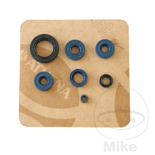 Engine gasket set for Aprilia Pegaso BMW F Bombardier DS 650 # 1992-2005