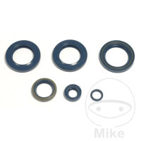 Dichtungssatz Motor f&uuml;r KTM EGS EGS-E LC4-E SC 400...