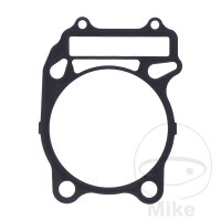 Cylinder base gasket for Beta Alp Euro Jonathan M4 Suzuki...