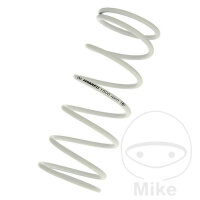 Gegendruckfeder f&uuml;r Adly/Herchee Herkules 125...