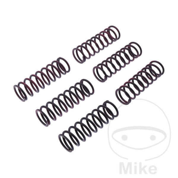 Clutch springs reinforced for BMW F 650 700 800 800 2006-2018