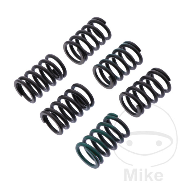 Clutch springs reinforced for Kawasaki ZZR 1400 2012-2018