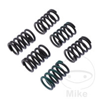 Ressorts dembrayage renforc&eacute;s pour Kawasaki ZZR...