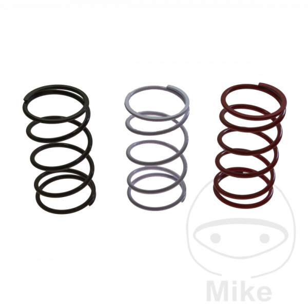 Back pressure spring for AJS Digita 50 ATU Calypso 50
