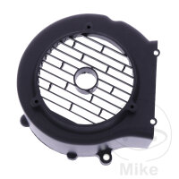 Versi&oacute;n de fan para AGM Baotian Benzhou FlexTech...
