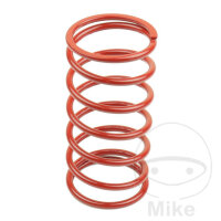 Back pressure spring for Aeon Cobra 50 AGM Fighter 50 One