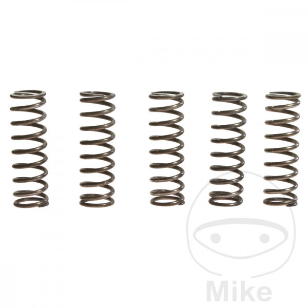 Ressorts dembrayage renforc&eacute;s pour Kawasaki KLV 1000 ZZR 600 Suzuki DL 1000