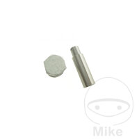 Steuerkettenspanner Original f&uuml;r BMW C1 125 200 F...