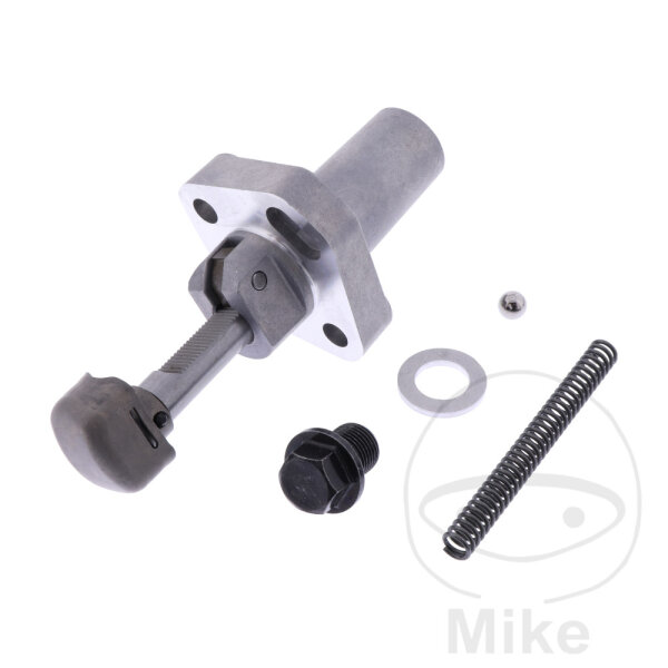 Steuerkettenspanner Original
